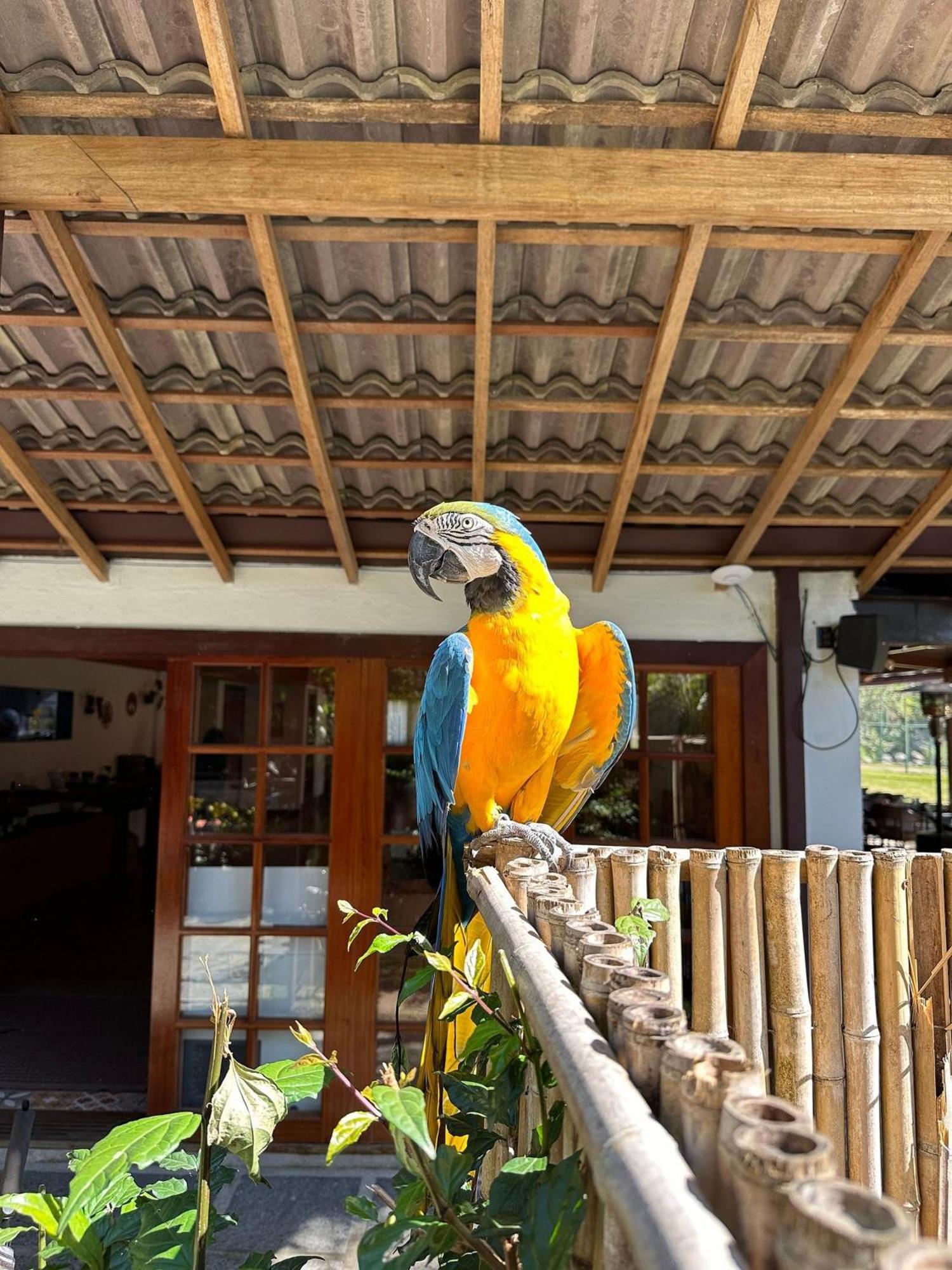 Hotel Chácara Comary Teresópolis Esterno foto