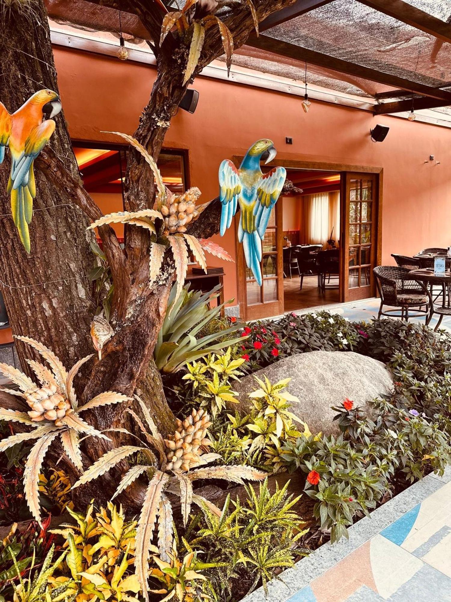 Hotel Chácara Comary Teresópolis Esterno foto